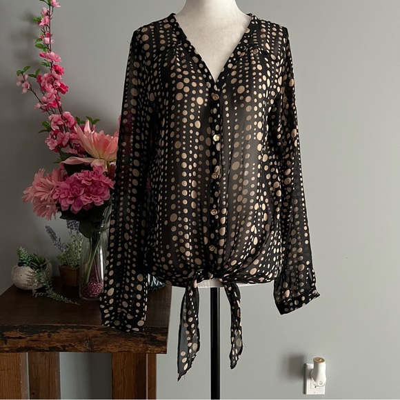 The Limited Sheer Button Up Long Sleeve - Picture 2 of 15